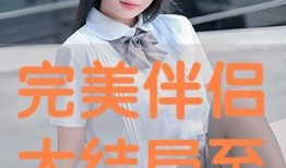 伴侣在线观看,伴侣在线观影时光