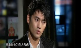 爆料娱乐圈胡歌是什么小说,娱乐圈背后的小说传奇